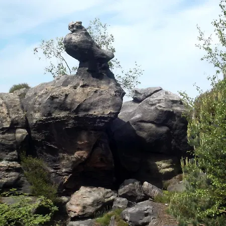 Zum Hecht Pensionat 3*