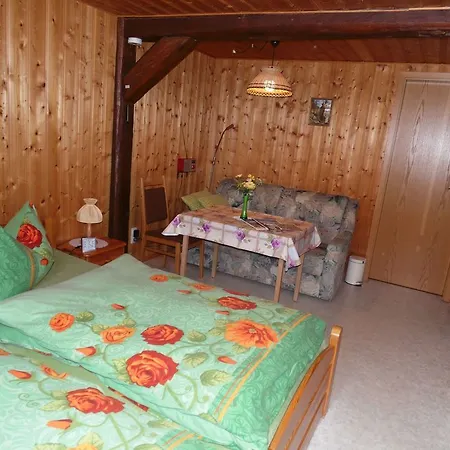 Zum Hecht Guest house 2*